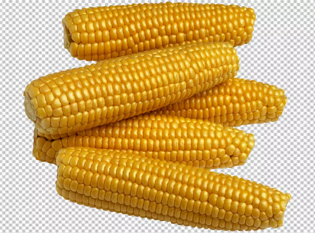 Free Premium PNG corn isolated on transparent background PNG