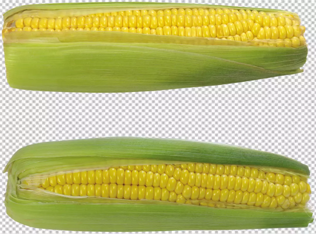 Free Premium PNG view fresh yellow corns on PNG