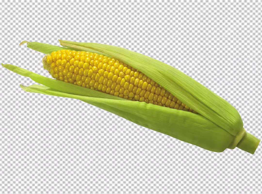 Free Premium PNG Corn isolated on transparent background PNG