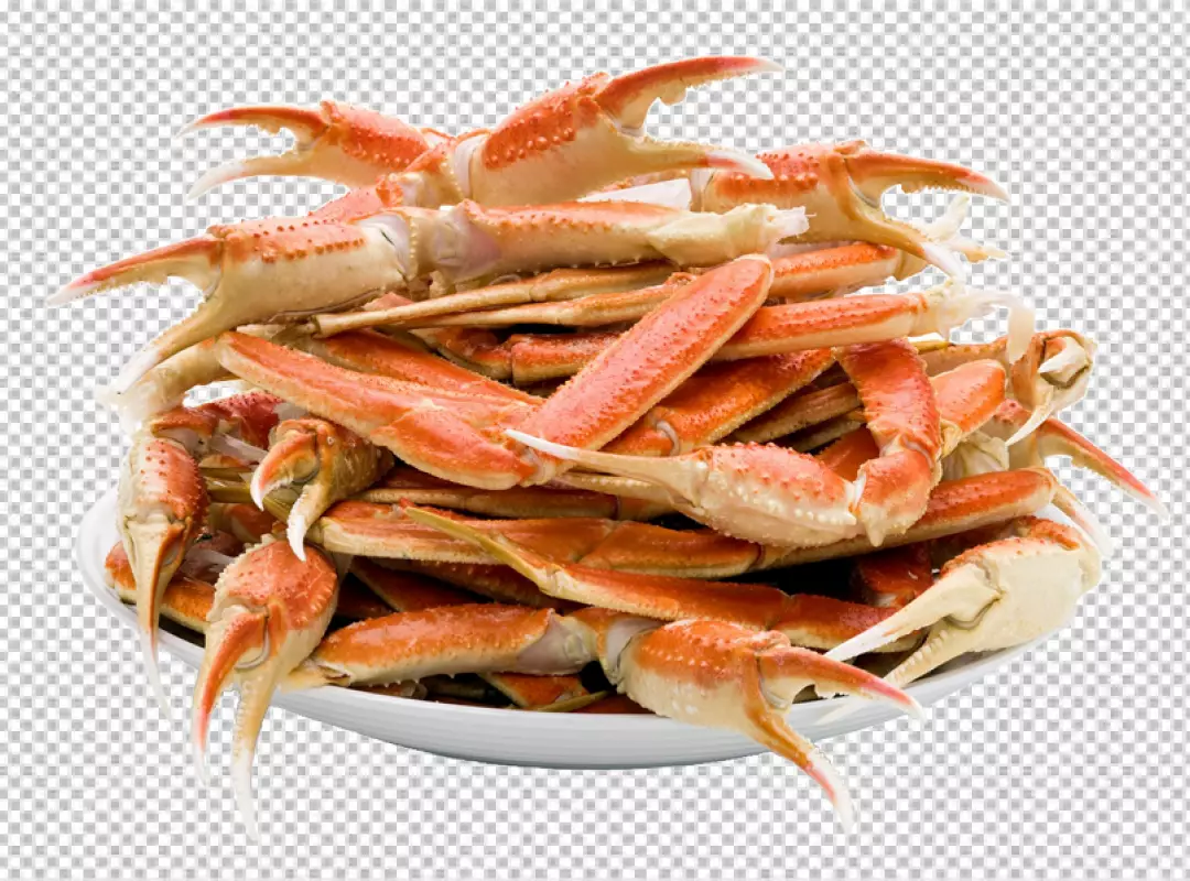 Free Premium PNG Cooked lobster claw PNG