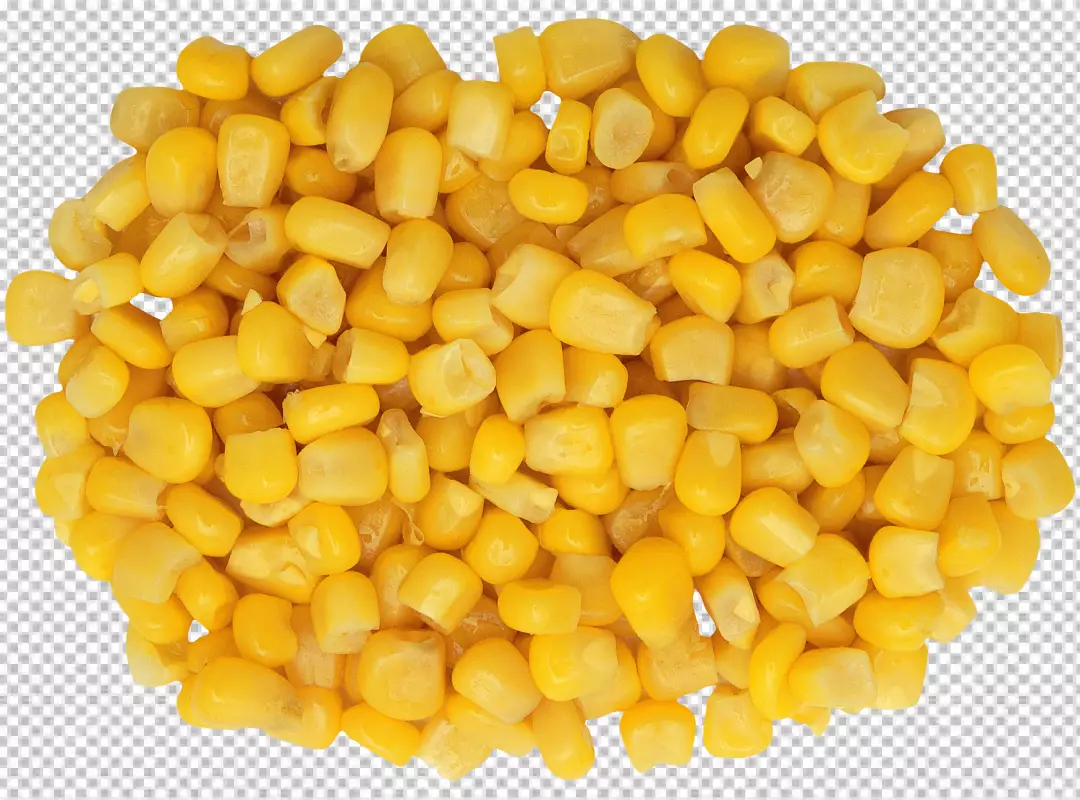 Free Premium PNG Front view fresh yellow corns on 