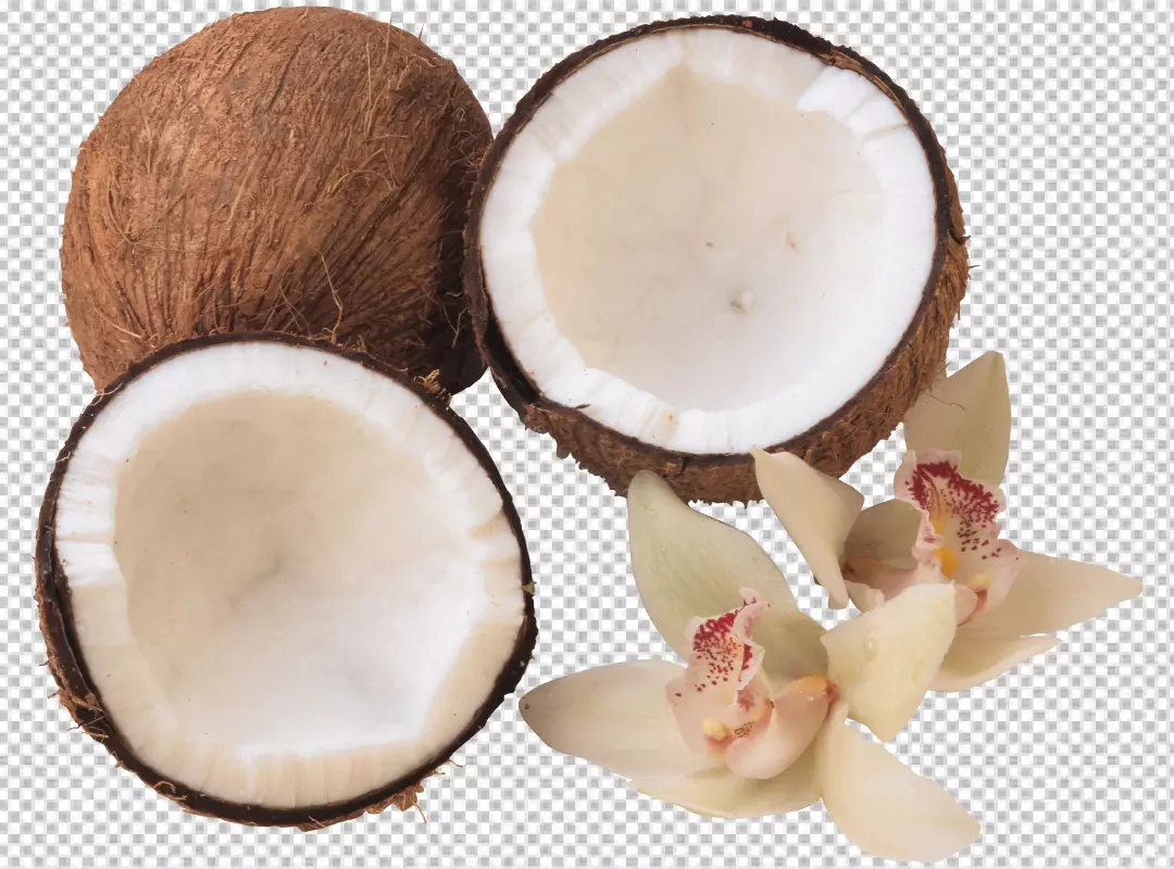 Free Premium PNG PNG Fresh coconuts and coconut milk