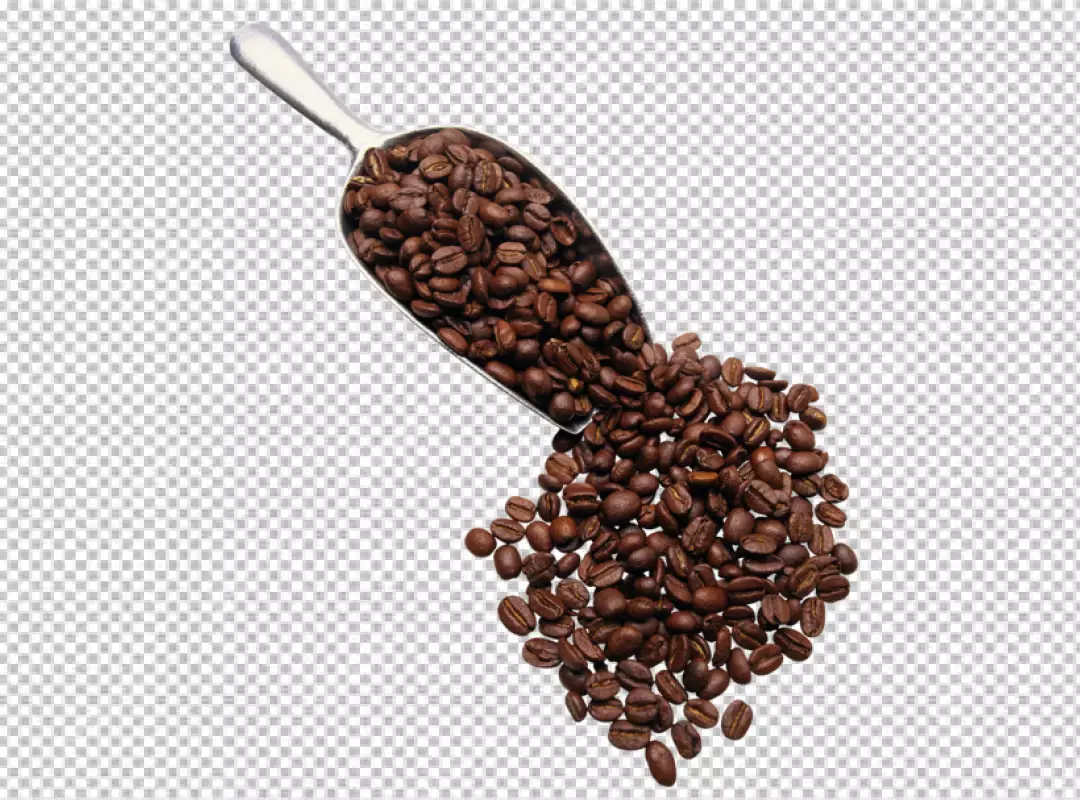 Free Premium PNG Roasted coffee beans isolated on