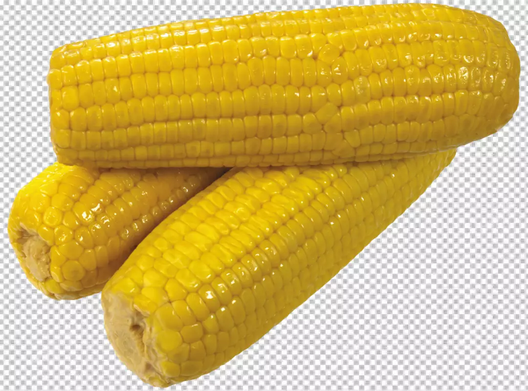 Free Premium PNG Fresh corn composition close-up PNG