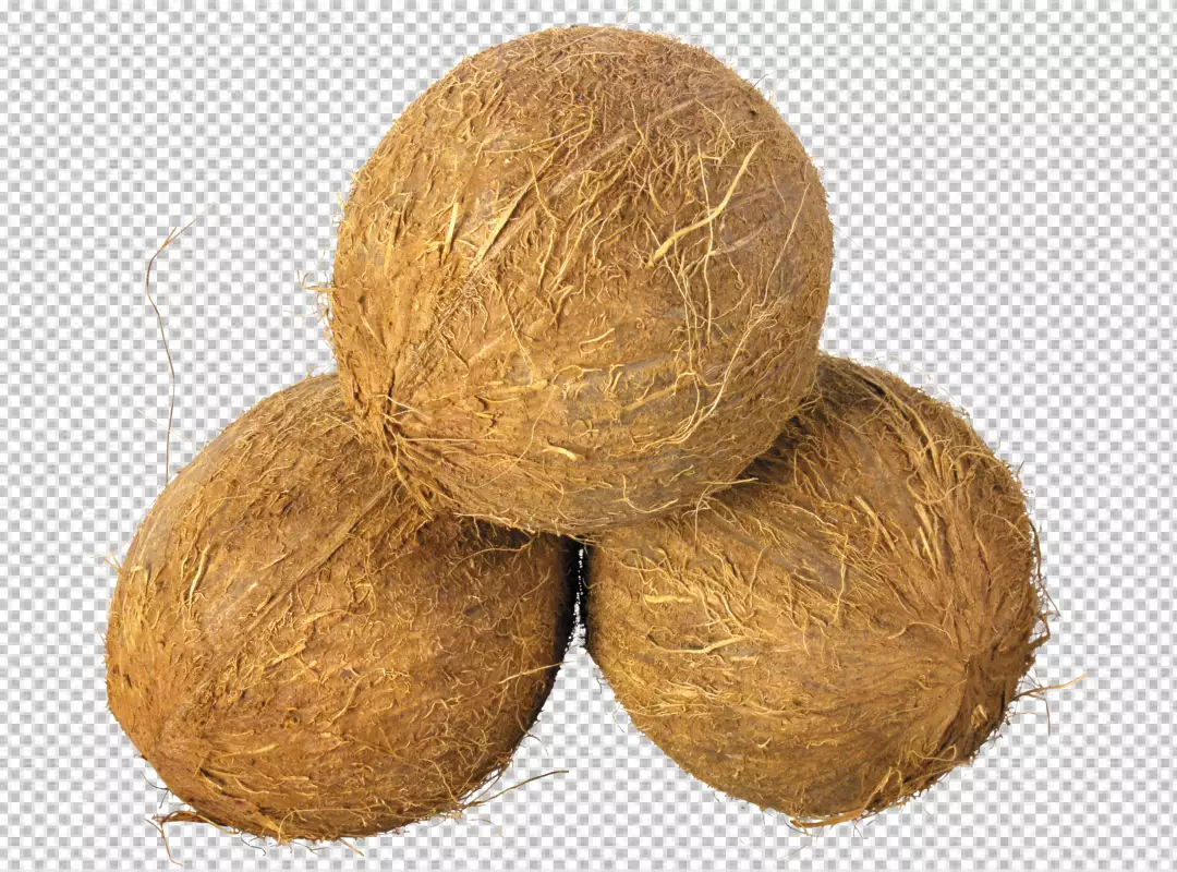 Free Premium PNG Piece of coconut isolated on transparent background