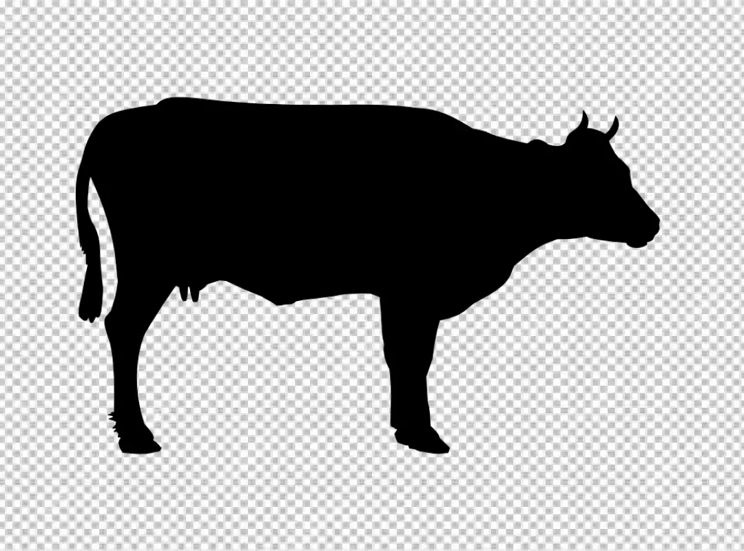 Free Premium PNG A cow with a tag on its ear is shown