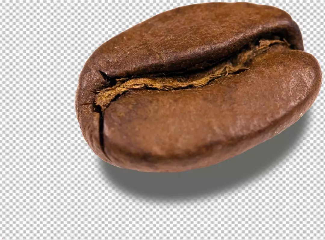 Free Premium PNG PNG Coffee bean close up transparent background 