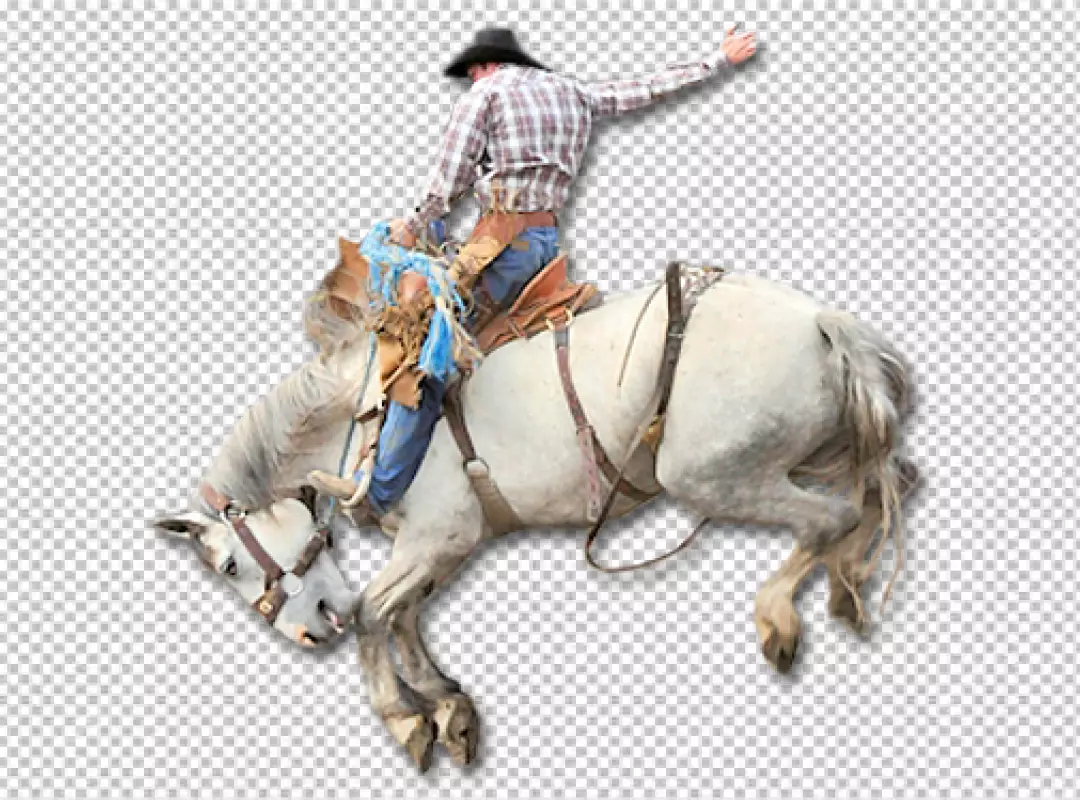 Free Premium PNG Cowboy with horse against 