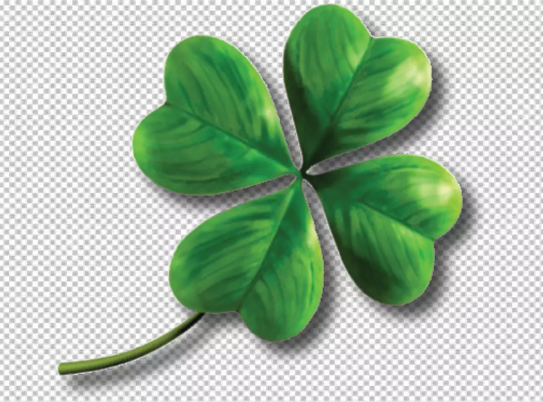 Free Premium PNG Elegant clover leaves