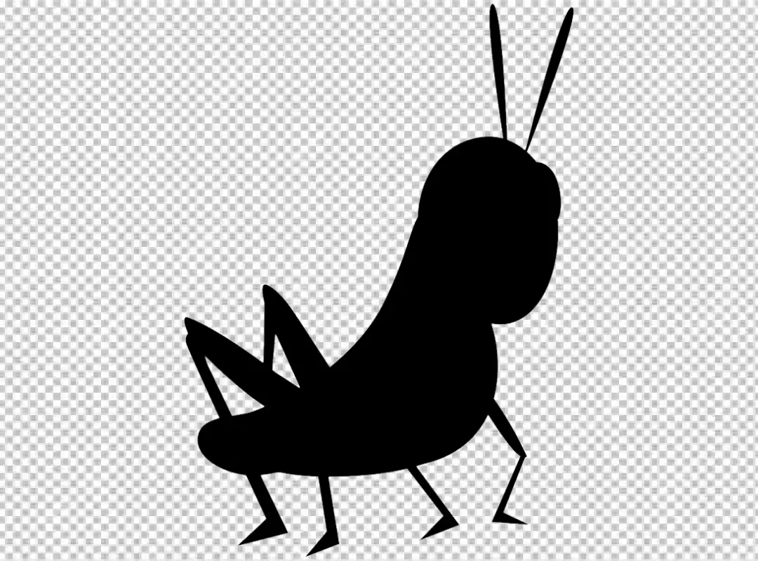 Free Premium PNG Cricket insect icon without background