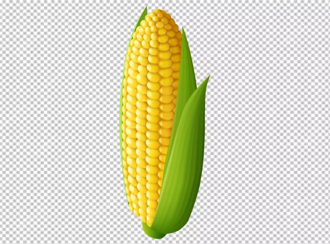 Free Premium PNG Corn cobs on a wooden piece on a PNG