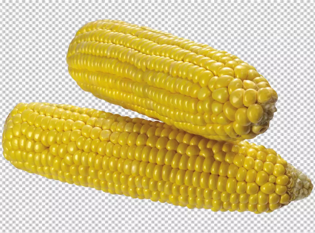 Free Premium PNG Fresh raw corn png isolated on transparent background PNG