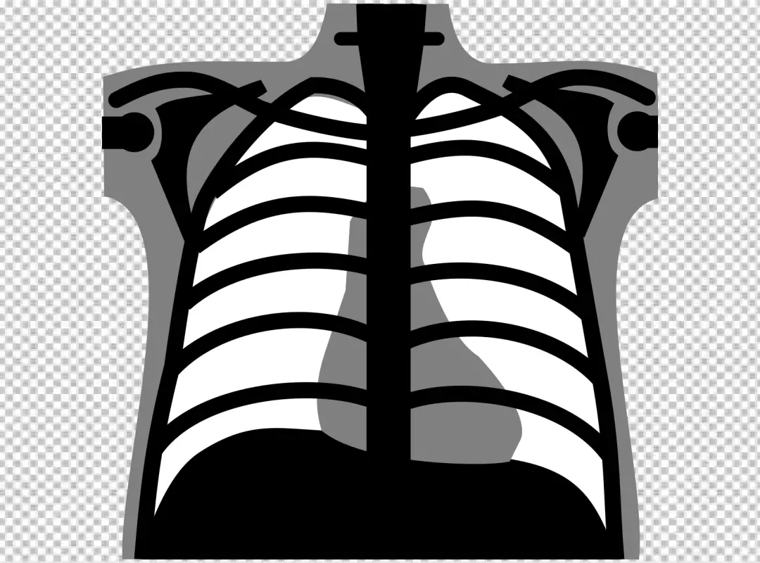 Free Premium PNG X-ray Image of a Human Chest