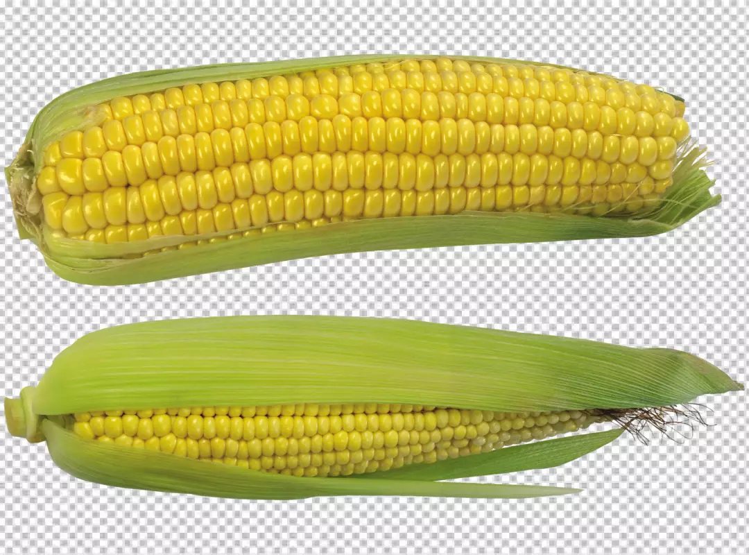 Free Premium PNG Top view fresh corn composition png