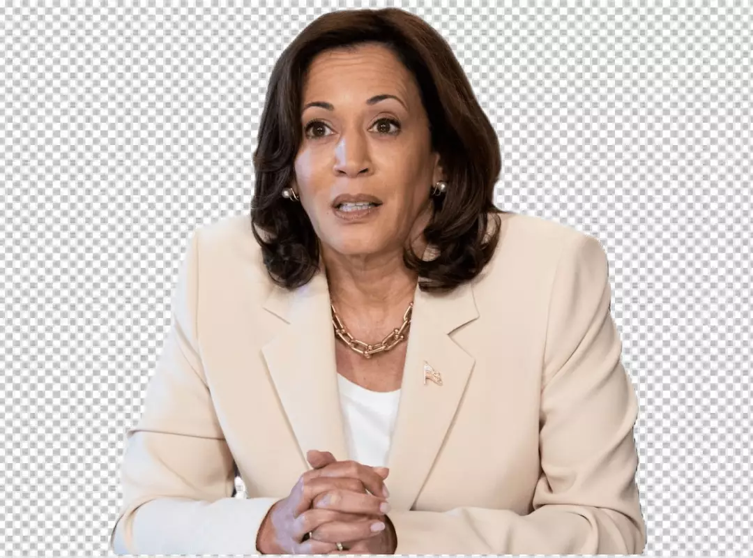 Free Premium PNG President Kamala Harris talling somthing