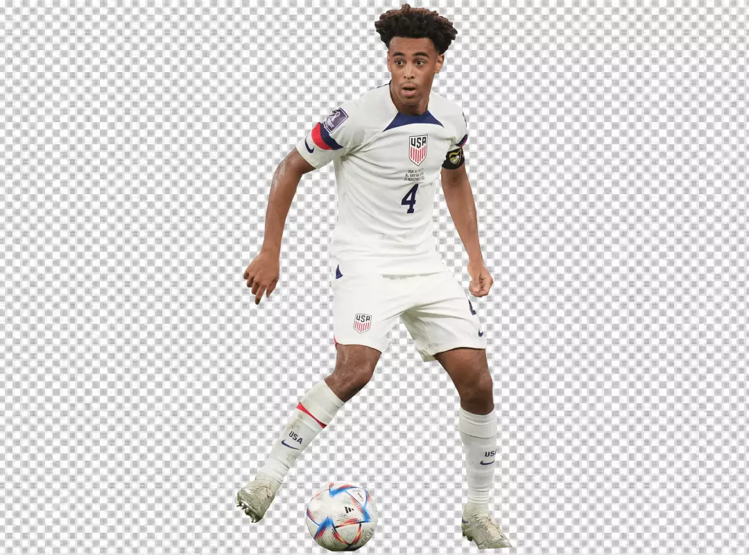 Free Premium PNG Tyler Adams United States men's national team