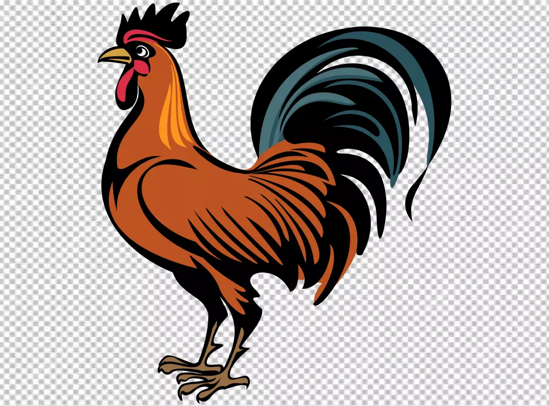 Free Premium PNG Close up on beautiful chicken PNG