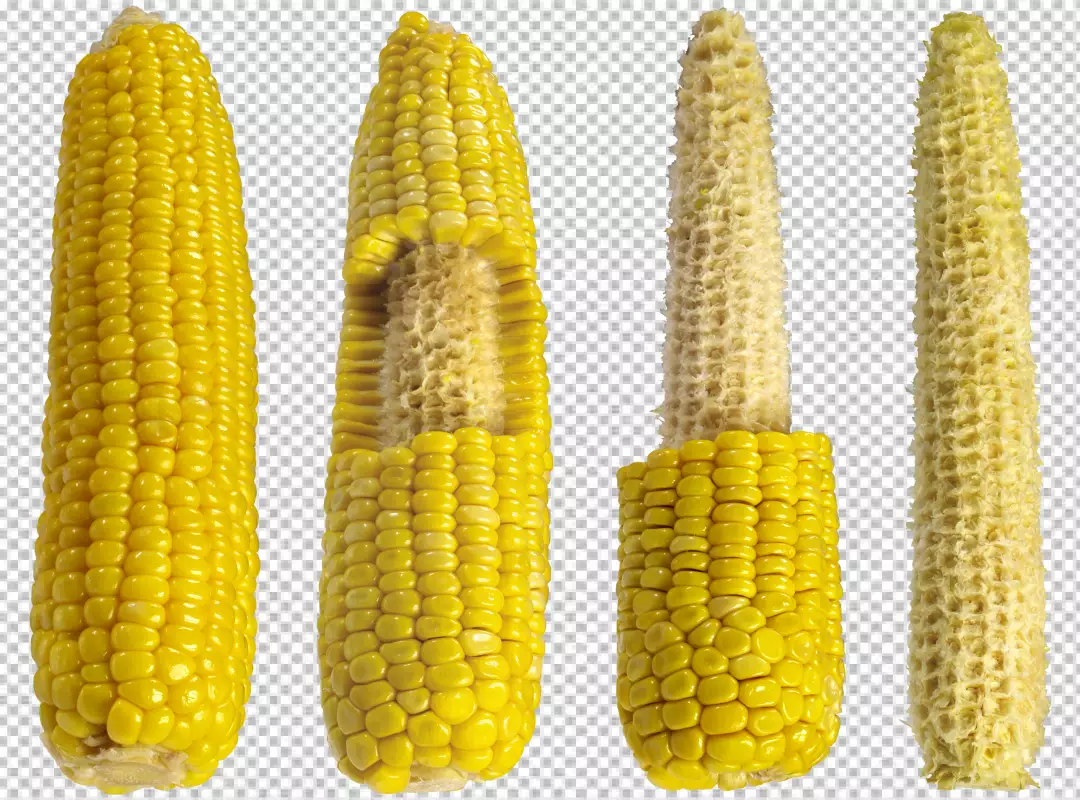 Free Premium PNG Fresh corn composition close-up