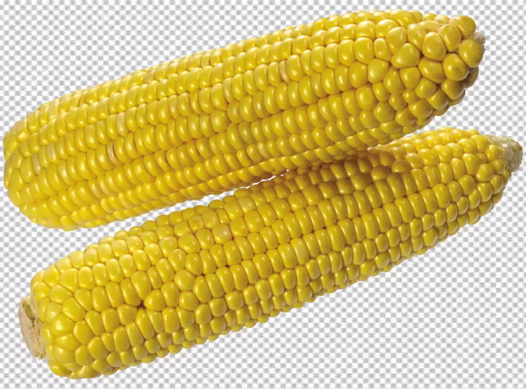 Free Premium PNG Fresh corn composition close-up