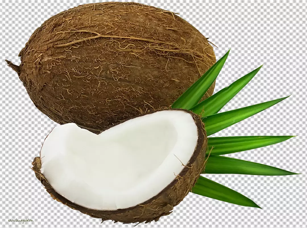 Free Premium PNG Coconut with half and leaves on PNG