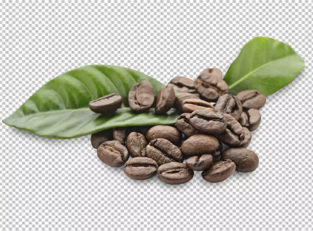 Free Premium PNG Coffee beans pattern design