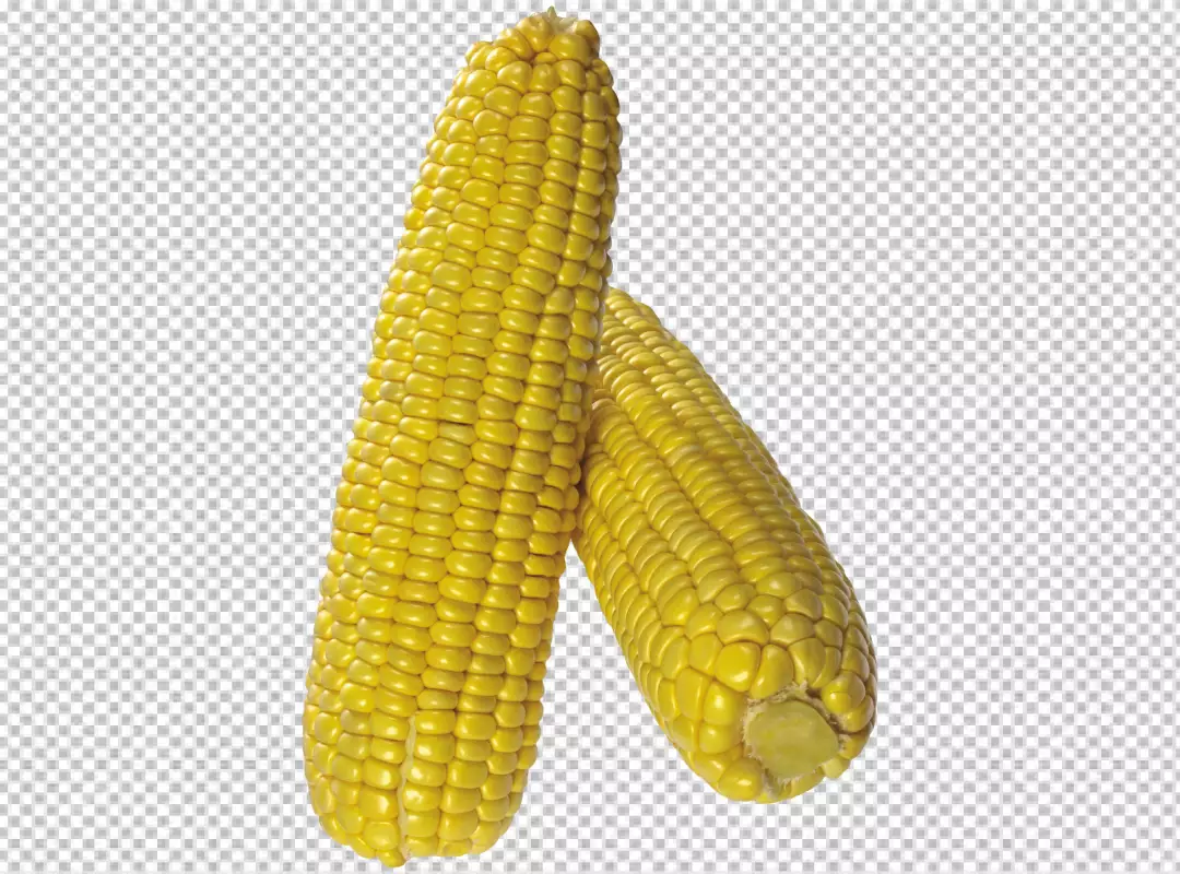 Free Premium PNG Sweet corn on transparent background