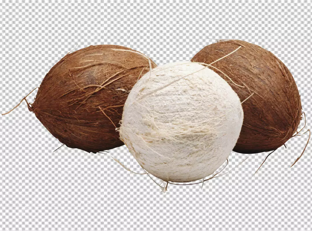 Free Premium PNG Realistic coconut PNG