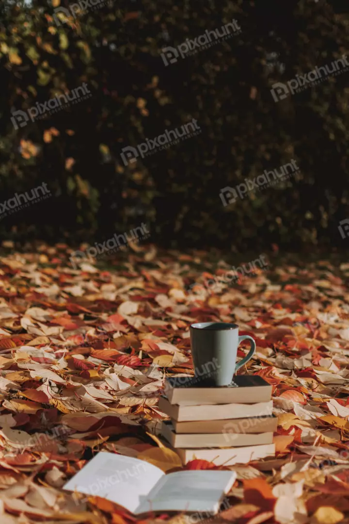 Free Premium Stock Photos a still life of a cup of coffee on a stack of books, with an open book in front of it