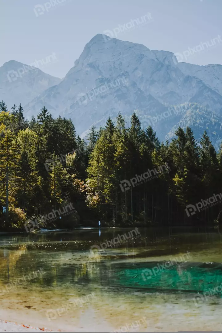 Free Premium Stock Photos Mountain is covered in trees and the peak is obscured by clouds