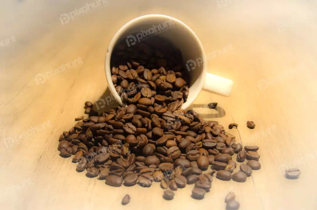 Free Premium Stock Photos Close-up of a white coffee cup filled with coffee beans