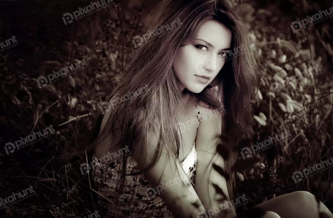 Free Premium Stock Photos A young woman with long, dark hair and she is sitting in a field of tall grass, and the sun is shining through the grass and onto her face