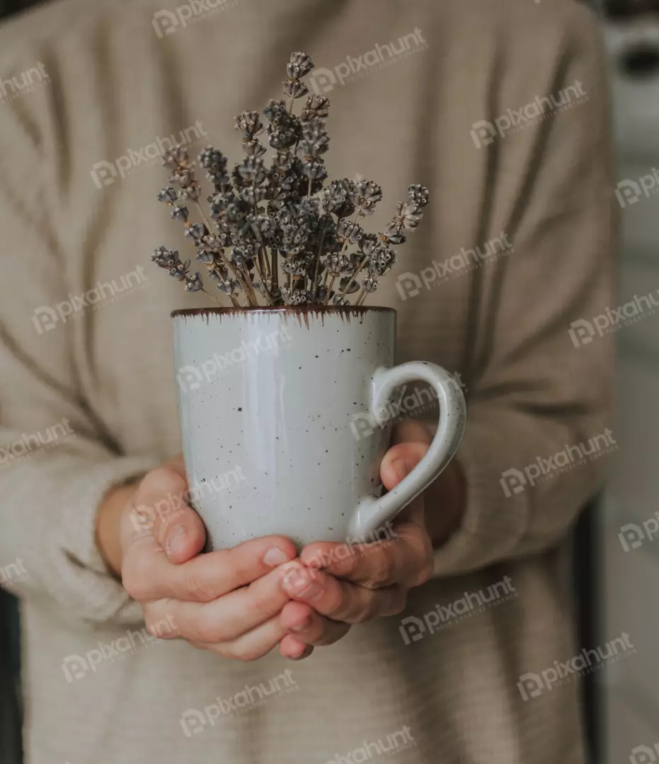 Free Premium Stock Photos a person holding a cup of lavender