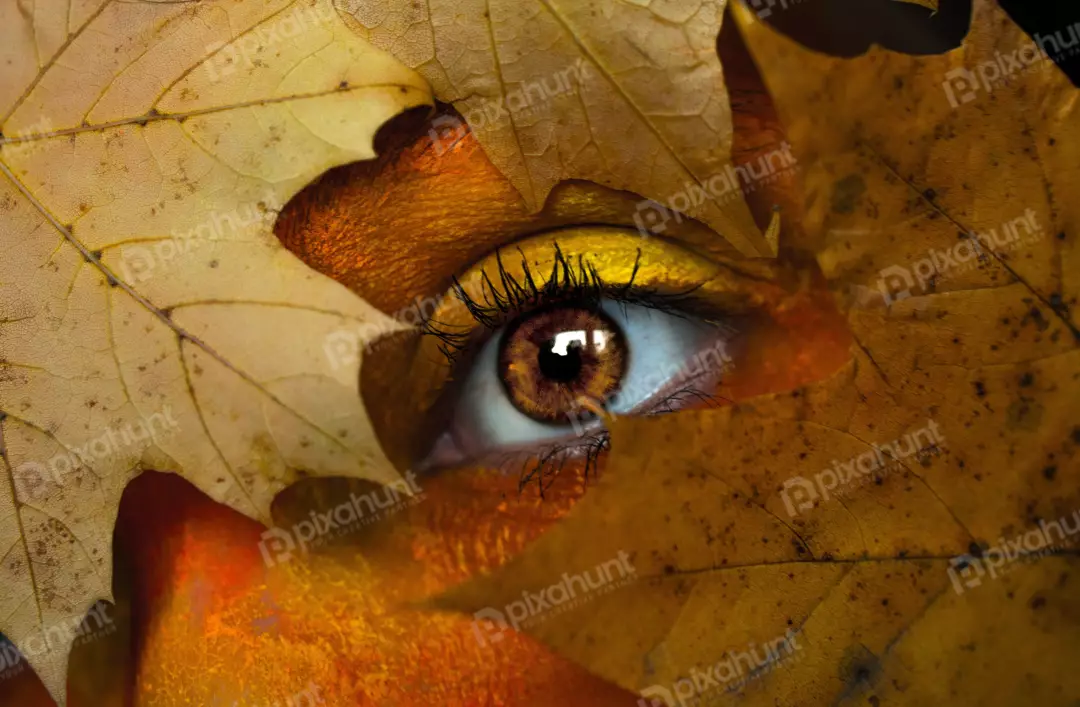 Free Premium Stock Photos a close-up angle, which allows the viewer to see the woman's eye in great detail