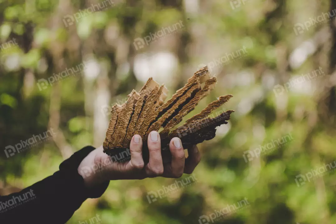 Free Premium Stock Photos a close-up of a hand holding a piece of wood