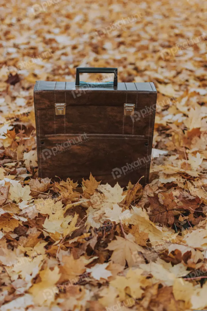 Free Premium Stock Photos a brown leather suitcase sitting on a pile of fallen yellow leaves