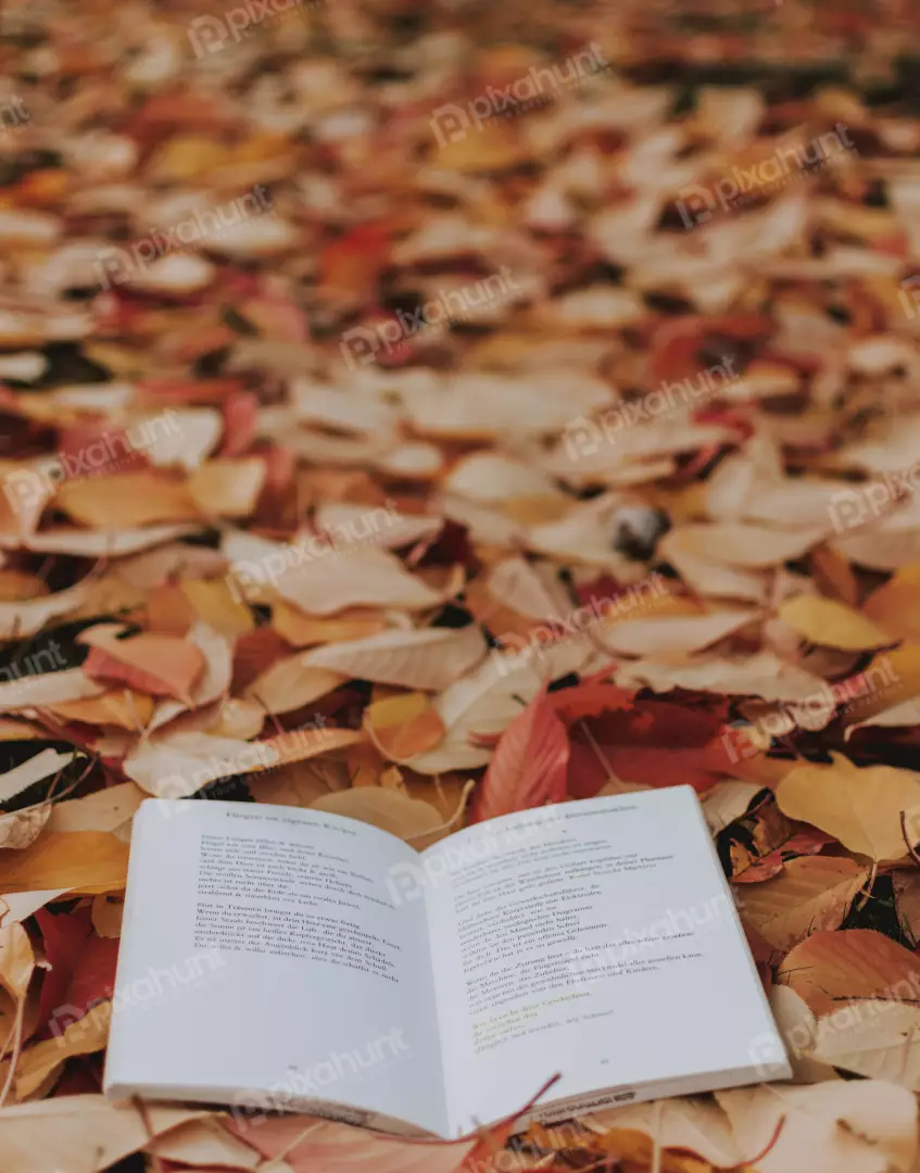 Free Premium Stock Photos book is opened and the person is reading it