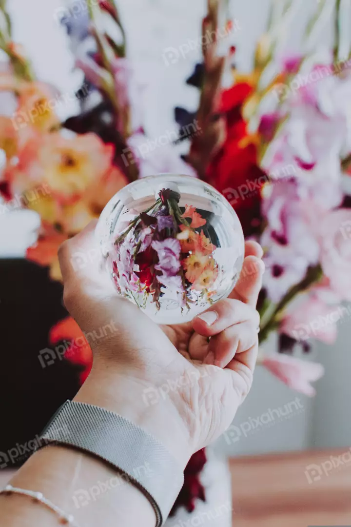 Free Premium Stock Photos A hand holding a glass ball with flowers inside it