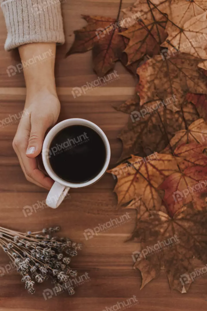 Free Premium Stock Photos Bird's eye view Han hold Coffee cup