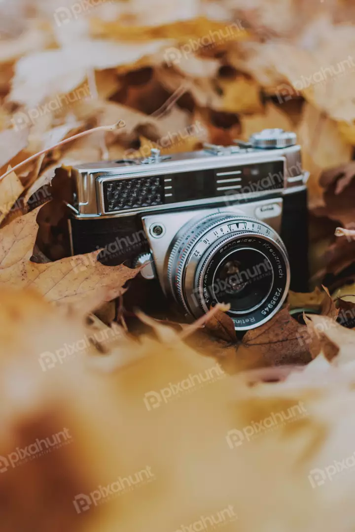 Free Premium Stock Photos The camera is lying on a bed of fallen leaves