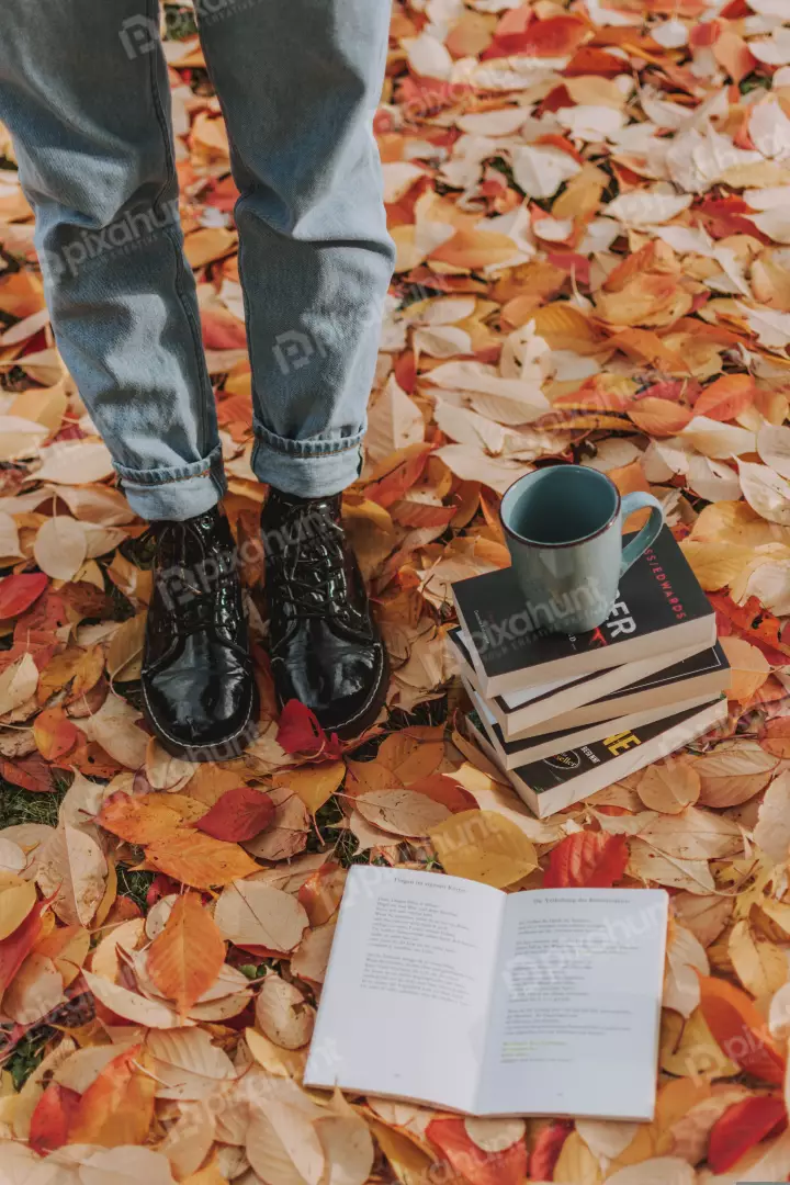 Free Premium Stock Photos looking up at a person standing in a pile of autumn leaves