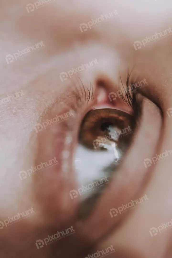 Free Premium Stock Photos The eye is the most important sensory organ in the human body