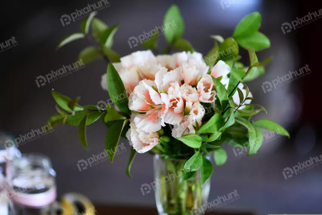 Free Premium Stock Photos A beautiful bouquet of flowers And flowers are mostly white with a light pink tinge, and they are arranged in a vase with greenery