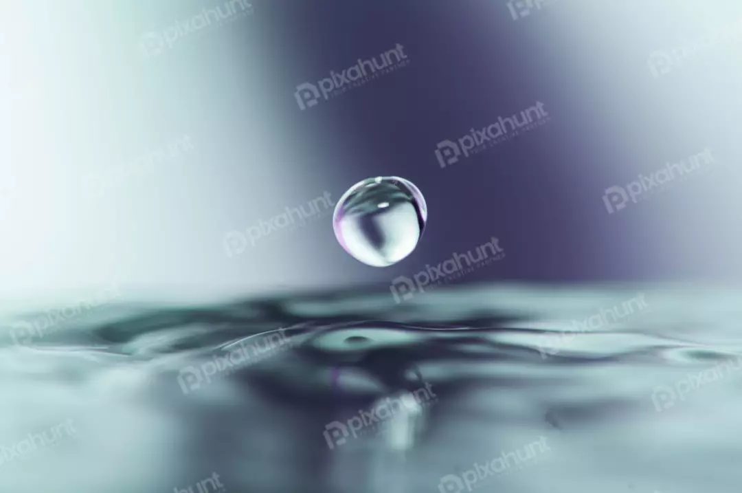 Free Premium Stock Photos A water droplet is perfectly round and is suspended in midair