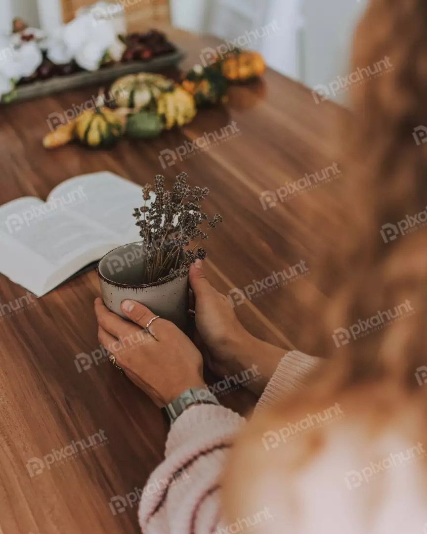 Free Premium Stock Photos a top-down perspective, and in the center is a woman's hands holding a cup of lavender