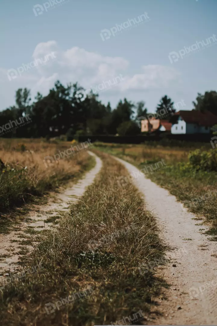 Free Premium Stock Photos road is made of dirt and gravel, and it is surrounded by tall grass and a few trees