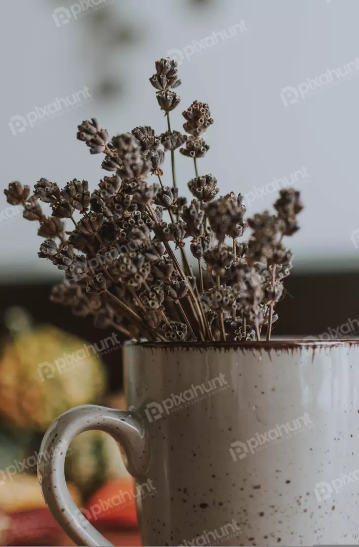 Free Premium Stock Photos a close-up of a mug of lavender flowers. The mug is sitting on a table