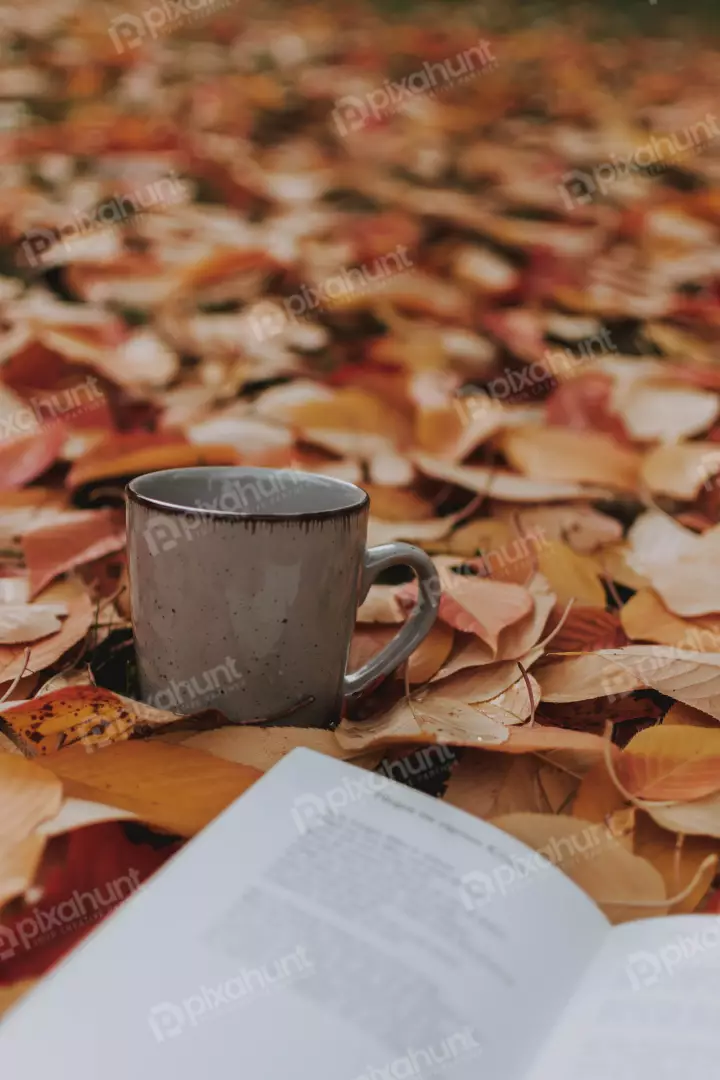 Free Premium Stock Photos a close-up of a gray coffee mug on a bed of fallen autumn leaves