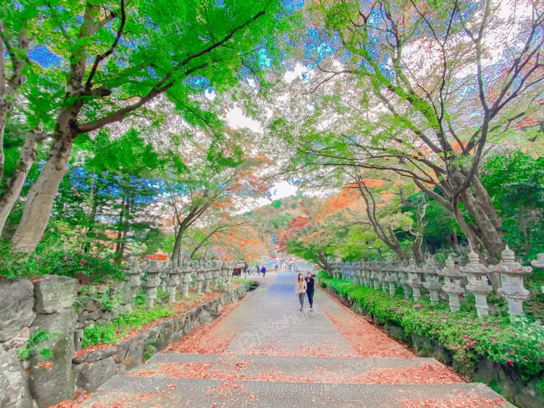 Free Premium Stock Photos a beautiful park with a long stone path lined with trees and stone lanterns