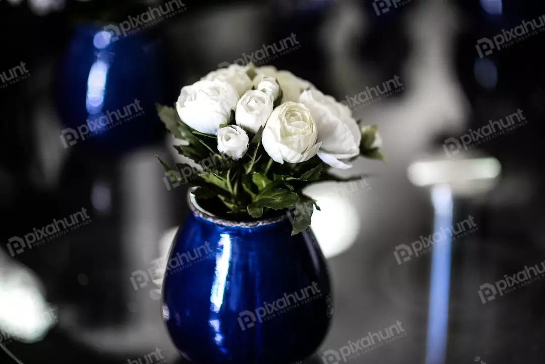 Free Premium Stock Photos A beautiful still life of a blue vase with white flowers sitting on a black table