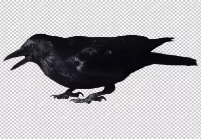 PNG